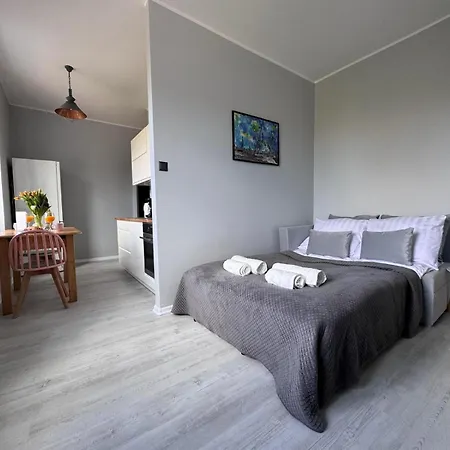 Motlawa - Stare Apartment Gdansk